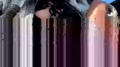 a_rae93 online show from 14, 10, 2025