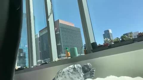 Snapshot of aaron494949 chatting on 5, 4, 2026 aaron494949 online show from 5, 4, 2026