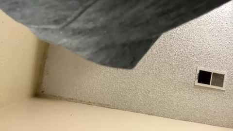 aaroncencal online show from 1, 1, 2025