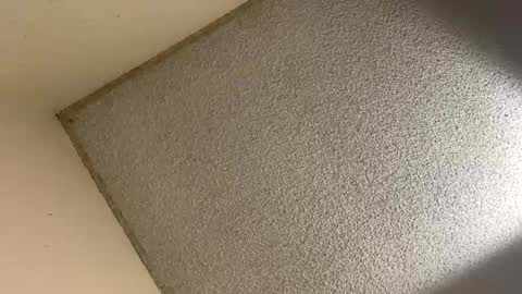 aaroncencal online show from 17, 2, 2025