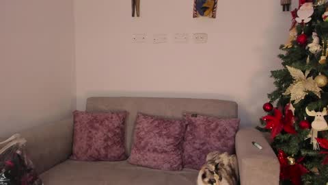 Snapshot of abbey_allen chatting on 12, 12, 2024 Abbey  IG abby allenn  04 December Online at  I will be on vacation dont forget me  See you soon   online show from 12, 12, 2024