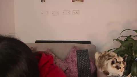 Snapshot of abbey_allen chatting on 7, 3, 2025 Abbey  IG abby allenn  04 December Online at  I will be on vacation dont forget me  See you soon   online show from 7, 3, 2025