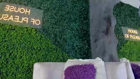 A B B Y online show from 13, 2, 2025