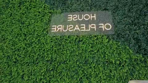 A B B Y online show from 19, 2, 2025