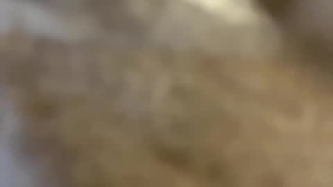 ABBY online show from 3, 12, 2024