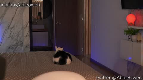 Snapshot of abie_owen chatting on 28, 9, 2025 abie_owen online show from 28, 9, 2025