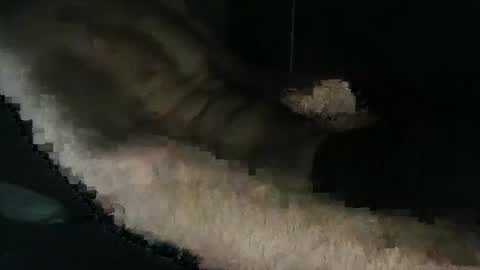 Snapshot of acid_lab chatting on 16, 12, 2024 acid_lab online show from 16, 12, 2024