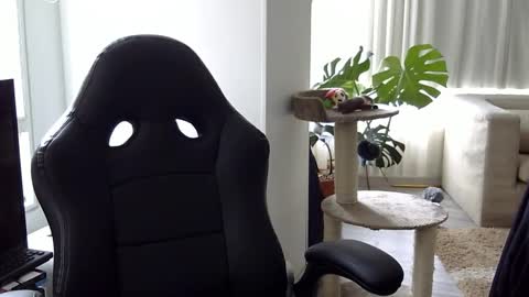 adam_evehotroom online show from 15, 10, 2025