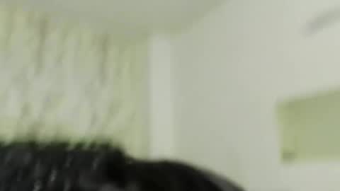 adam_morgan2 online show from 21, 12, 2025