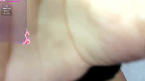 ADAMS Y NIKI online show from 3, 11, 2025