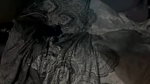 adoniczk online show from 9, 1, 2026