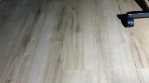 adoniczk online show from 11, 1, 2026