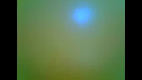 Snapshot of afrikana005 chatting on 5, 4, 2026 afrikana005 online show from 5, 4, 2026