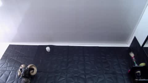  Miss Agata  online show from 17, 2, 2026