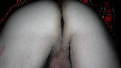 agent4005 online show from 11, 2, 2025