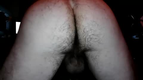 agent4005 online show from 11, 1, 2026