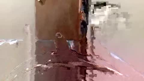 Snapshot of agoodsatyr chatting on 22, 2, 2025 A Good Satyr online show from 22, 2, 2025