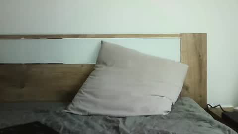 Selena online show from 18, 11, 2025