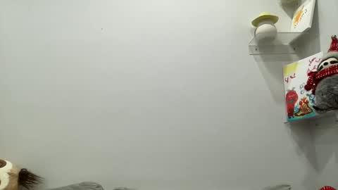 Aile online show from 29, 12, 2024