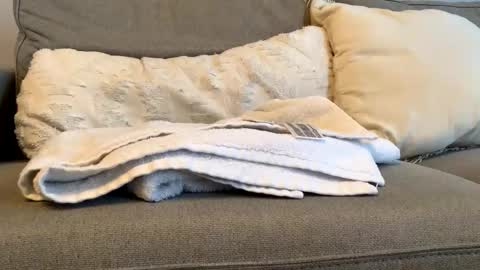 canadianboy92 online show from 6, 11, 2025