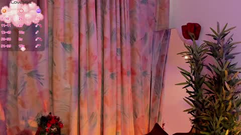 Aisha online show from 18, 12, 2024