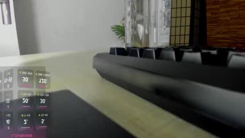 Aisha online show from 19, 10, 2025