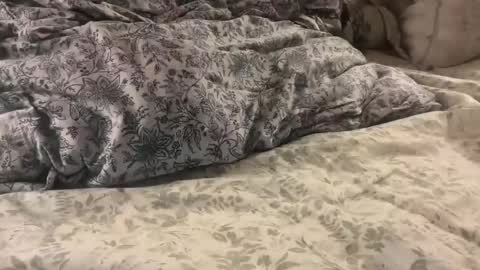 Snapshot of aj86cam chatting on 10, 1, 2026 aj86cam online show from 10, 1, 2026