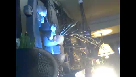 ajstevens326 online show from 3, 11, 2025