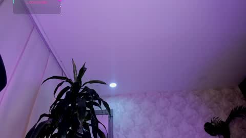 alaiaguerra online show from 5, 5, 2026