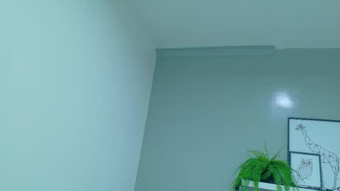  Alaia  online show from 29, 11, 2025