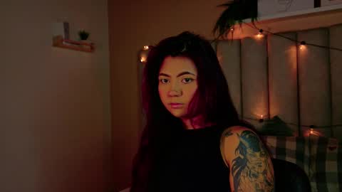  Alaia  online show from 22, 12, 2025