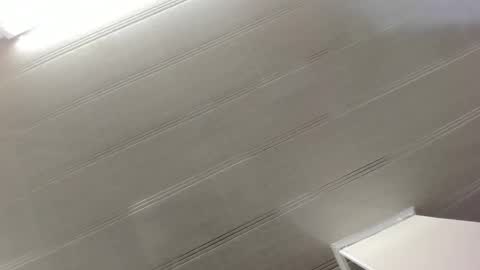 Maeve  online show from 29, 12, 2024