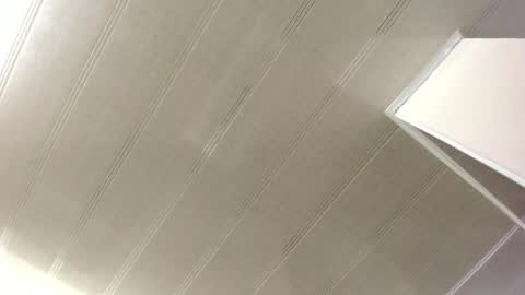 Maeve  online show from 12, 2, 2025