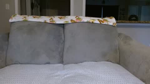 Alanna Rack online show from 26, 2, 2025