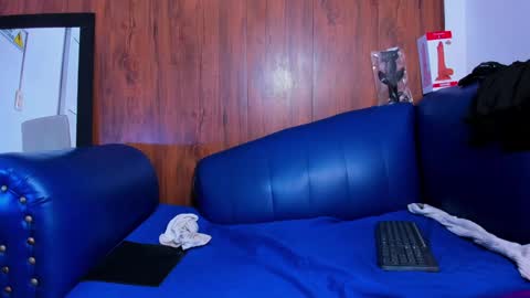 Alan online show from 8, 12, 2024