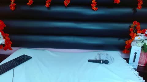 Snapshot of alasmith_ chatting on 29, 1, 2025 AlaSmith online show from 29, 1, 2025