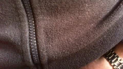 albert29 online show from 14, 2, 2026