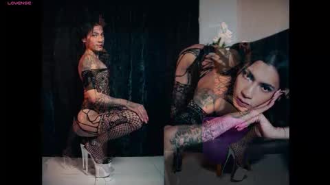 Ale online show from 4, 10, 2025