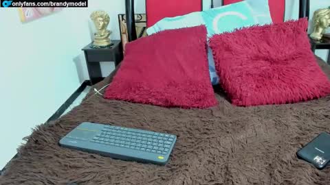 Snapshot of alecstar22 chatting on 23, 12, 2024 Andres star online show from 23, 12, 2024