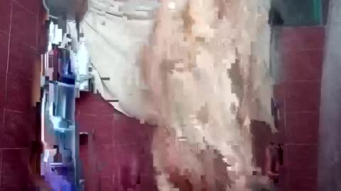 Snapshot of alejandrochao84 chatting on 5, 10, 2025 alejandrochao84 online show from 5, 10, 2025