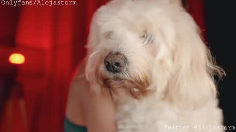 Snapshot of alejastorm chatting on 26, 2, 2026 Alejandra online show from 26, 2, 2026