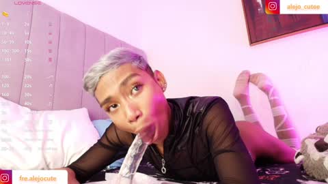 Snapshot of alejo_cute chatting on 29, 12, 2024 alejo_cute online show from 29, 12, 2024