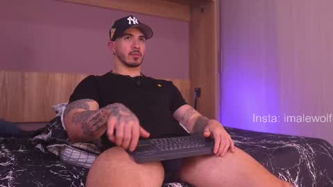 Snapshot of alejo_wolf chatting on 15, 3, 2026 Alejo online show from 15, 3, 2026