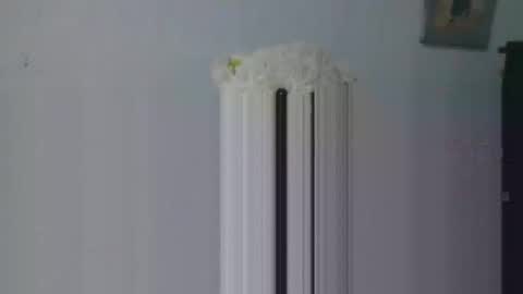 aleka_williams_ online show from 20, 10, 2025