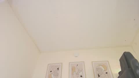 Snapshot of alex4diaz chatting on 29, 1, 2025 Alexa online show from 29, 1, 2025