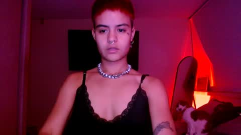 Alex online show from 14, 7, 2026