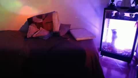 Alexa online show from 22, 9, 2025