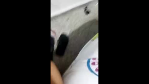 Alexamdergal online show from 9, 1, 2025