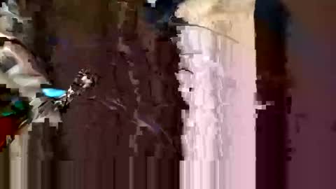 alexey932 online show from 10, 11, 2025