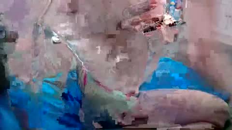 Doggystyle online show from 25, 12, 2024